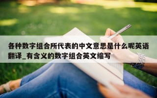 各种数字组合所代表的中文意思是什么呢英语翻译_有含义的数字组合英文缩写
