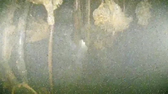 福岛反应堆深处图像揭示损坏状况 但更多问题悬而未决 - 第 1 张图片 - 新易生活风水网